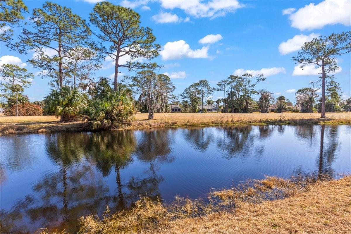 PELICAN BAY PH 04 UNIT 01 - Residential