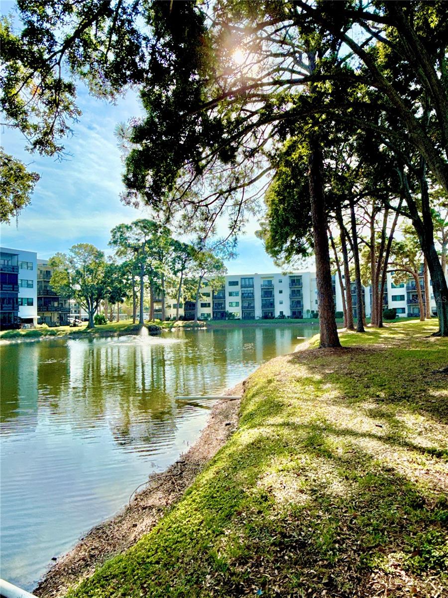 TERRACE PARK OF FIVE TOWNS - Residential