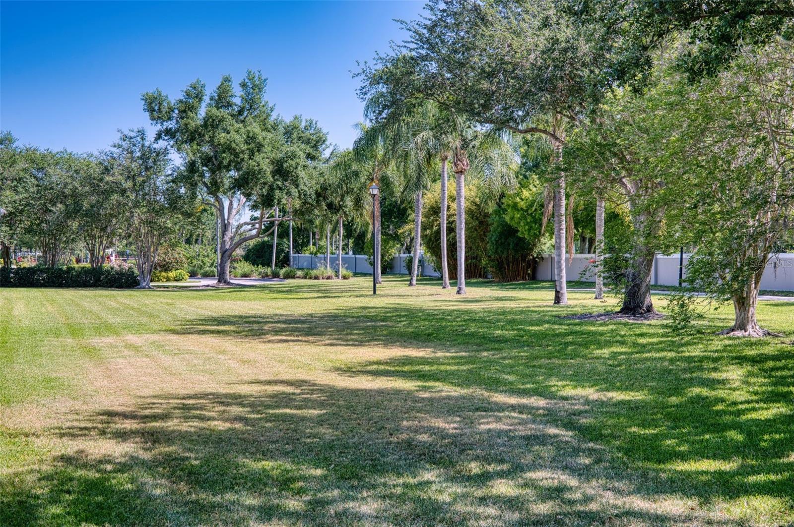 LAKERIDGE FALLS PH 1C - Residential