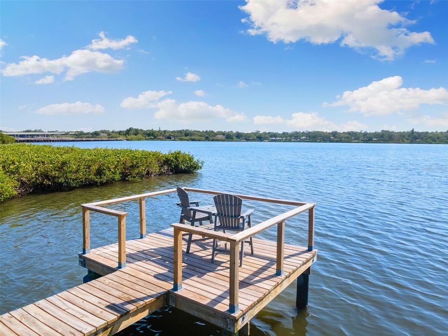 Waterfront Beauty in Coveted East Lake Corridor – The Best Lot in this highly desired Community! Coastal Elegance on Upper Tampa Bay — this private waterfront retreat is back on the market and ready to impress. Set on the premier lot in the community, the home offers 165 feet of unobstructed bay frontage, unmatched privacy, and direct open-water access, creating a lifestyle that blends luxury, natural beauty, and peace of mind. Elevated nearly ten feet above the waterline on a lush .36-acre lot, the fully remodeled three-bedroom, two-bath residence showcases high-end craftsmanship throughout, with vaulted ceilings, crown molding, and a sun-drenched open-concept design finished with wood-look ceramic tile. The gourmet kitchen is a chef’s dream, featuring GE Profile appliances, a gas range, a grand island with seating, pendant lighting, and abundant custom cabinetry. The spacious primary suite offers two walk-in closets, soaring ceilings, and sliding doors that open directly to a resort-style outdoor living space. Here, a self-cleaning saltwater pool, expansive paver deck, and covered lanai with a built-in outdoor kitchen make entertaining effortless while offering front-row views of the bay. Outdoors, a private dock with a mechanical kayak and paddleboard launch makes it easy to fish, paddle, or simply relax as dolphins and manatees swim by at sunset. This home has been hurricane-hardened with impact-rated windows, doors, and garage door, reducing insurance costs and providing peace of mind. Additional upgrades include a Trane high-efficiency WiFi Smart HVAC system still under warranty, a tankless water heater, Ring security, programmable sprinklers, smart-home integration, and controlled pool jets and lighting. A gated six-foot parking pad provides space for a boat or jet skis, while the oversized two-car garage offers built-in cabinetry and overhead storage. Nestled in a quiet, no-through-traffic enclave and steps from Sheffield Park with tennis courts, trails, and dog parks, this home is also just minutes from A-rated schools, Tampa, St. Pete, airports, shopping, and world-class beaches. With its unbeatable location, premium lot, and new price, this is a rare opportunity to fall in love with the Florida coastal lifestyle. High and dry through recent storms, this property offers confidence as well as charm.**Ask us about our Preferred Lender Incentive available where you could save thousands $$$**