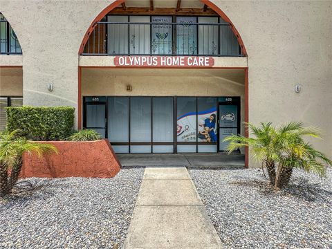 403 W VINE STREET KISSIMMEE FL 34741