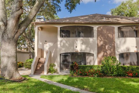 A home in PALM HARBOR