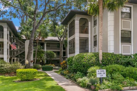 3399 MERMOOR DRIVE 309 PALM HARBOR FL 34685