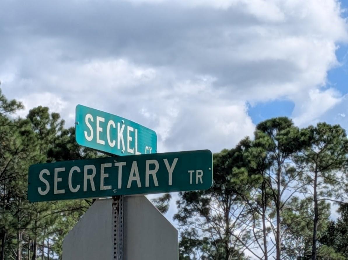 7 SECKEL CT