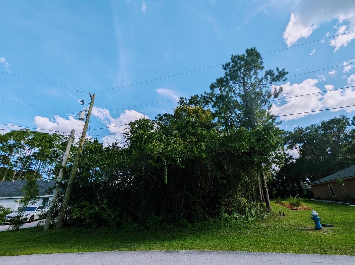 7 SECKEL CT