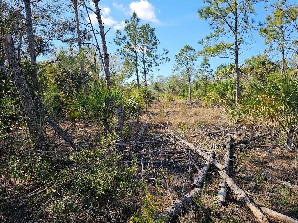 Photo of 1095 Melville Road, Punta Gorda, FL 33983 (MLS # C7504241)