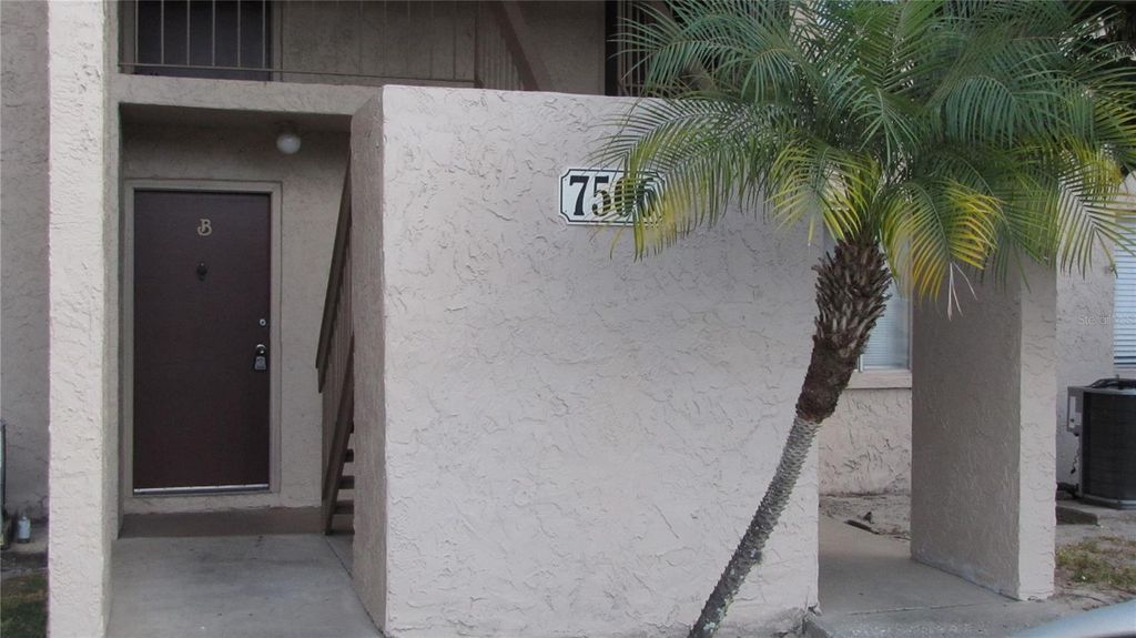 Photo of 7506 Needle Leaf Place #56, Tampa, FL 33617 (MLS # TB8500705)