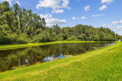 A home in WESLEY CHAPEL