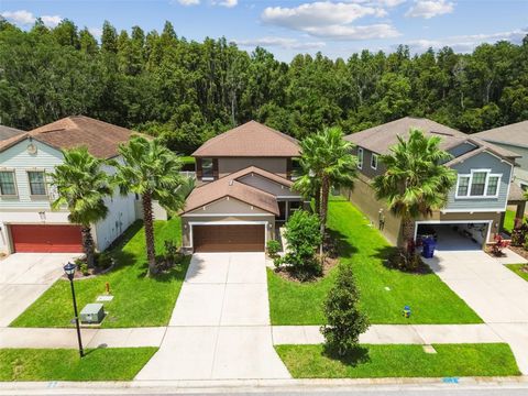 A home in WESLEY CHAPEL