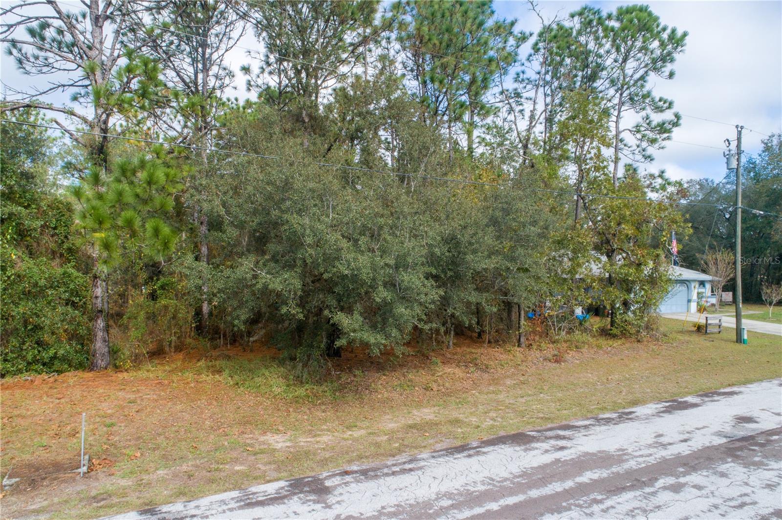 CITRUS SPGS UNIT 03 - Land