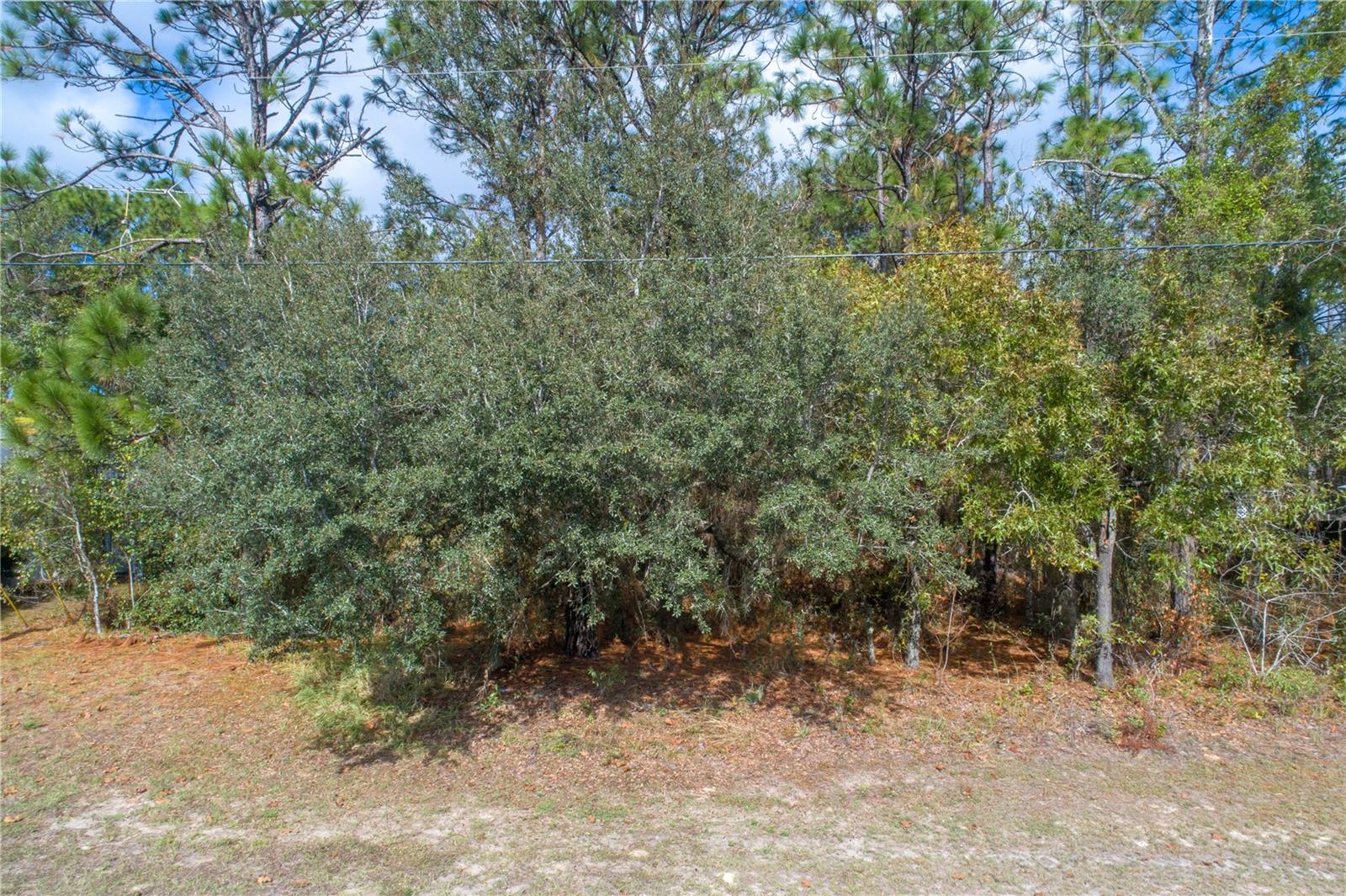 CITRUS SPGS UNIT 03 - Land