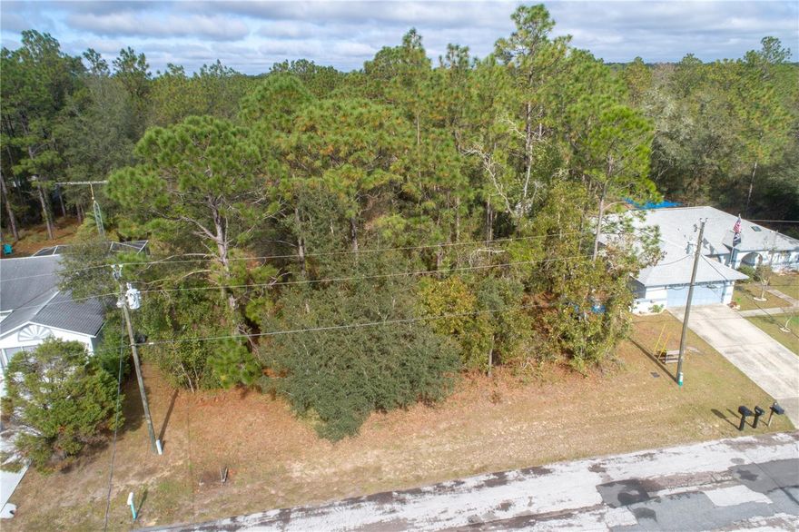 Discover the perfect setting for your dream home on this vacant lot in the quiet neighborhood of Citrus Springs. Nestled on a paved road, this property offers both convenience and tranquility. With vacant County-owned property in the back, enjoy added privacy and peace.  Imagine the ease of being close to schools, shopping, churches, and golf courses, creating a well-rounded and accessible lifestyle. This is your opportunity to build a home in a serene neighborhood, surrounded by the beauty of the Nature Coast.