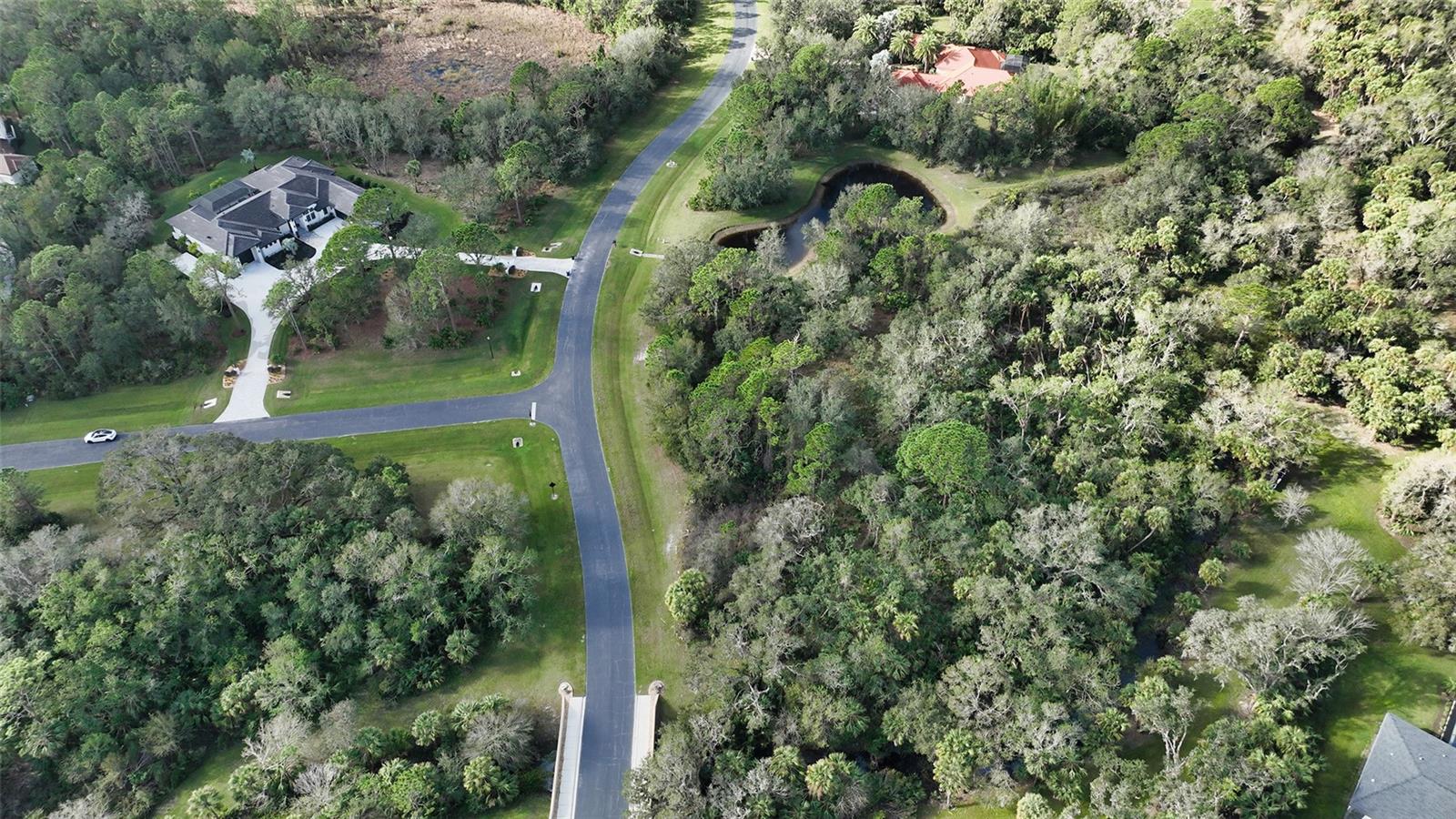 FOREST AT THE HI HAT RANCH - Land