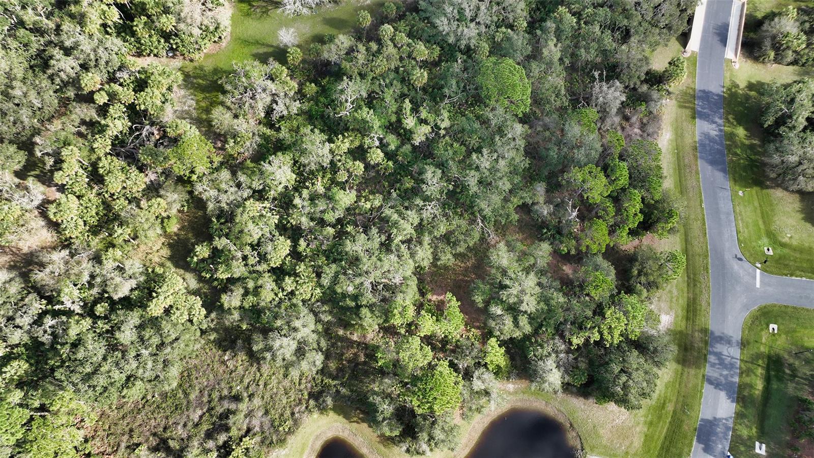 FOREST AT THE HI HAT RANCH - Land
