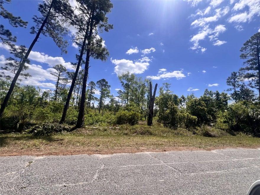 Build your dream home on this beautiful one-acre lot in the sought-after Royal Trails community, where you can own two horses per acre and, after construction, can park your RV and boat. Enjoy deeded access to the nearly almost 1,200 acre Lake Norris, and the many community amenities which include park, playground, clubhouse and year-round events and miles of paved roads.  Minimum build size is 1,200 square feet, with no time-limit to build.  Restrictions against mobile or manufactured homes.