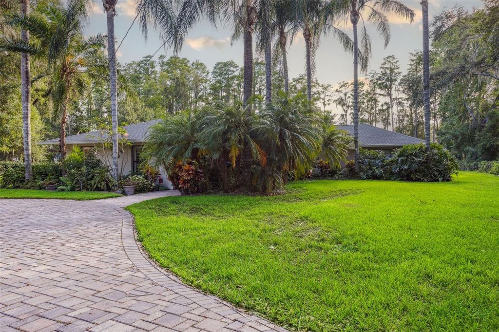 Photo of 19100 Forrest Drive, Odessa, FL 33556 (MLS # TB8410764)