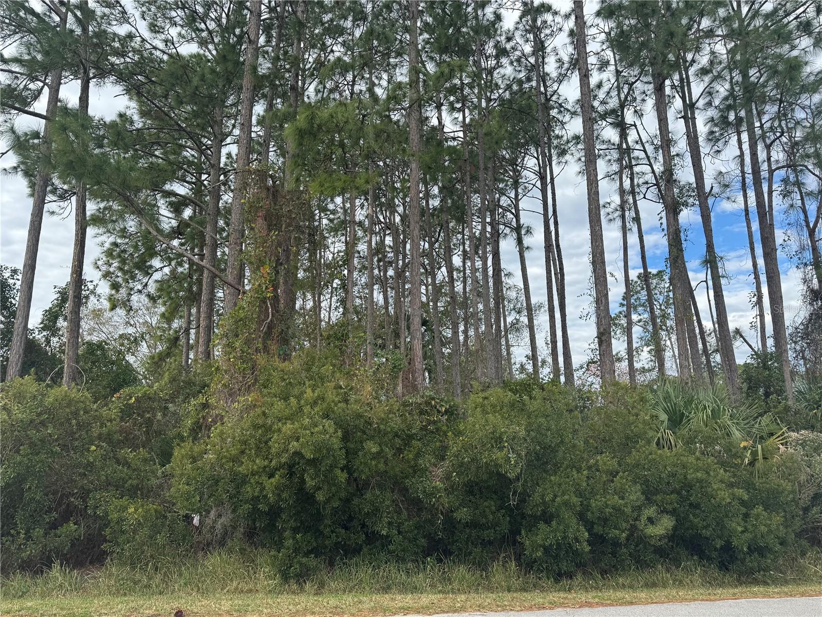 MATANZAS WOODS - Land