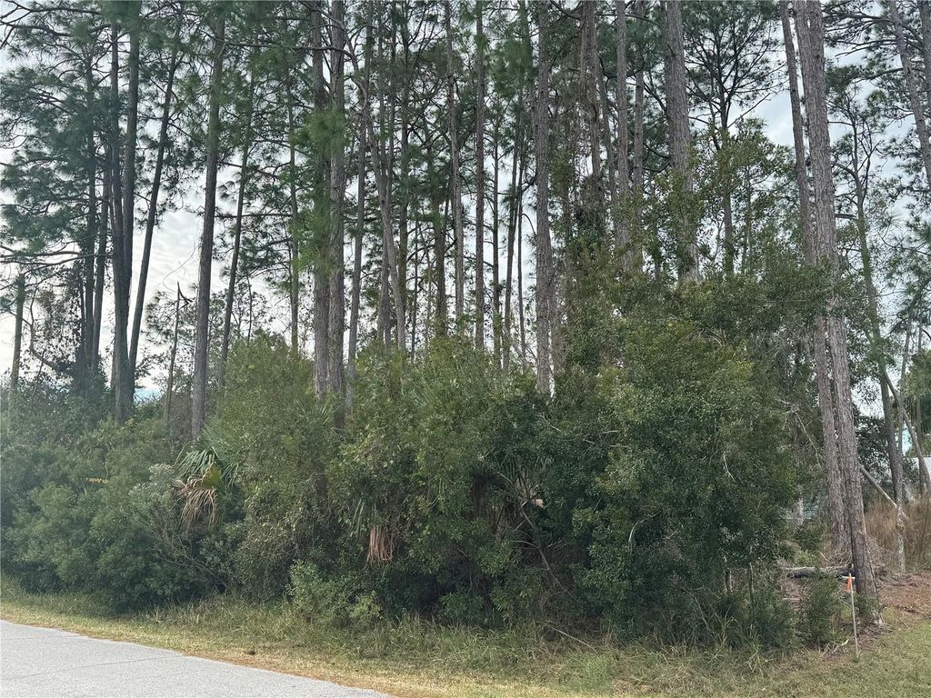 Photo of 13 Lincoln Lane, Palm Coast, FL 32137 (MLS # OM717136)