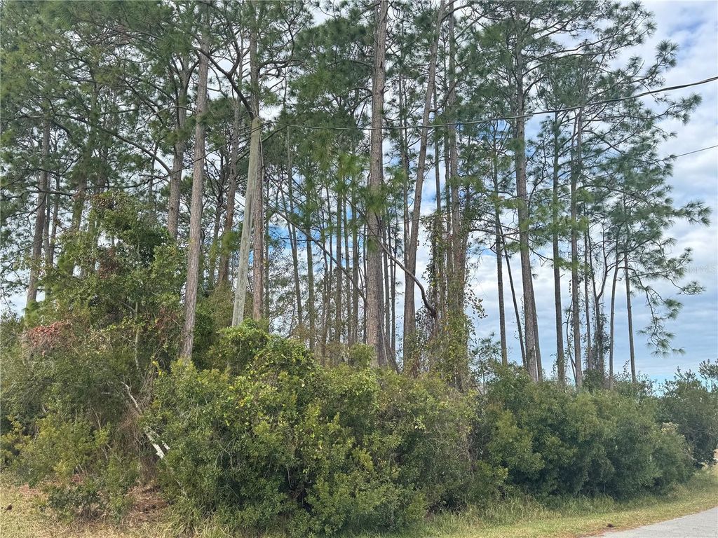 Photo of 13 Lincoln Lane, Palm Coast, FL 32137 (MLS # OM717136)