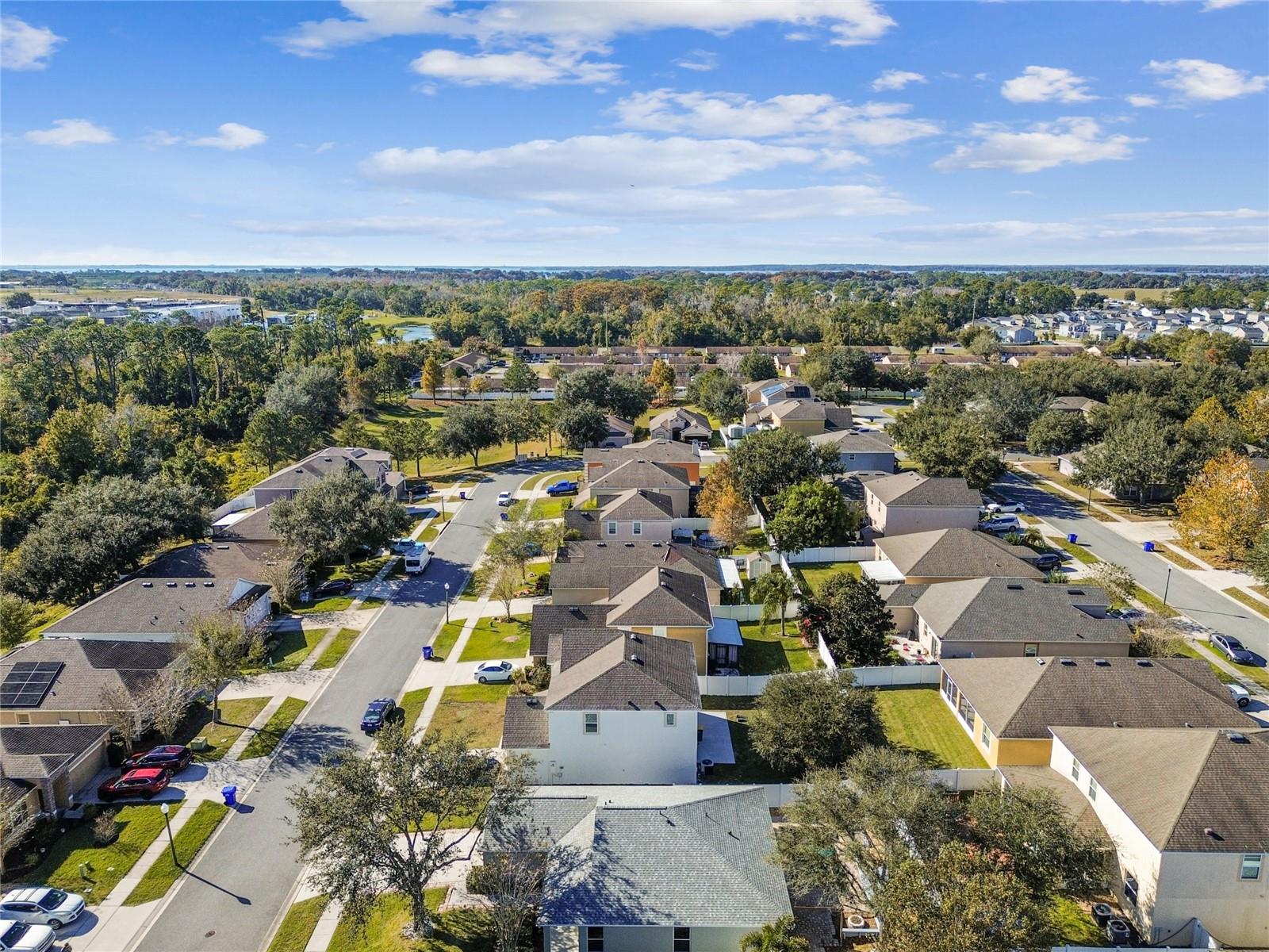 TAVARES MARTINS GROVE - Residential