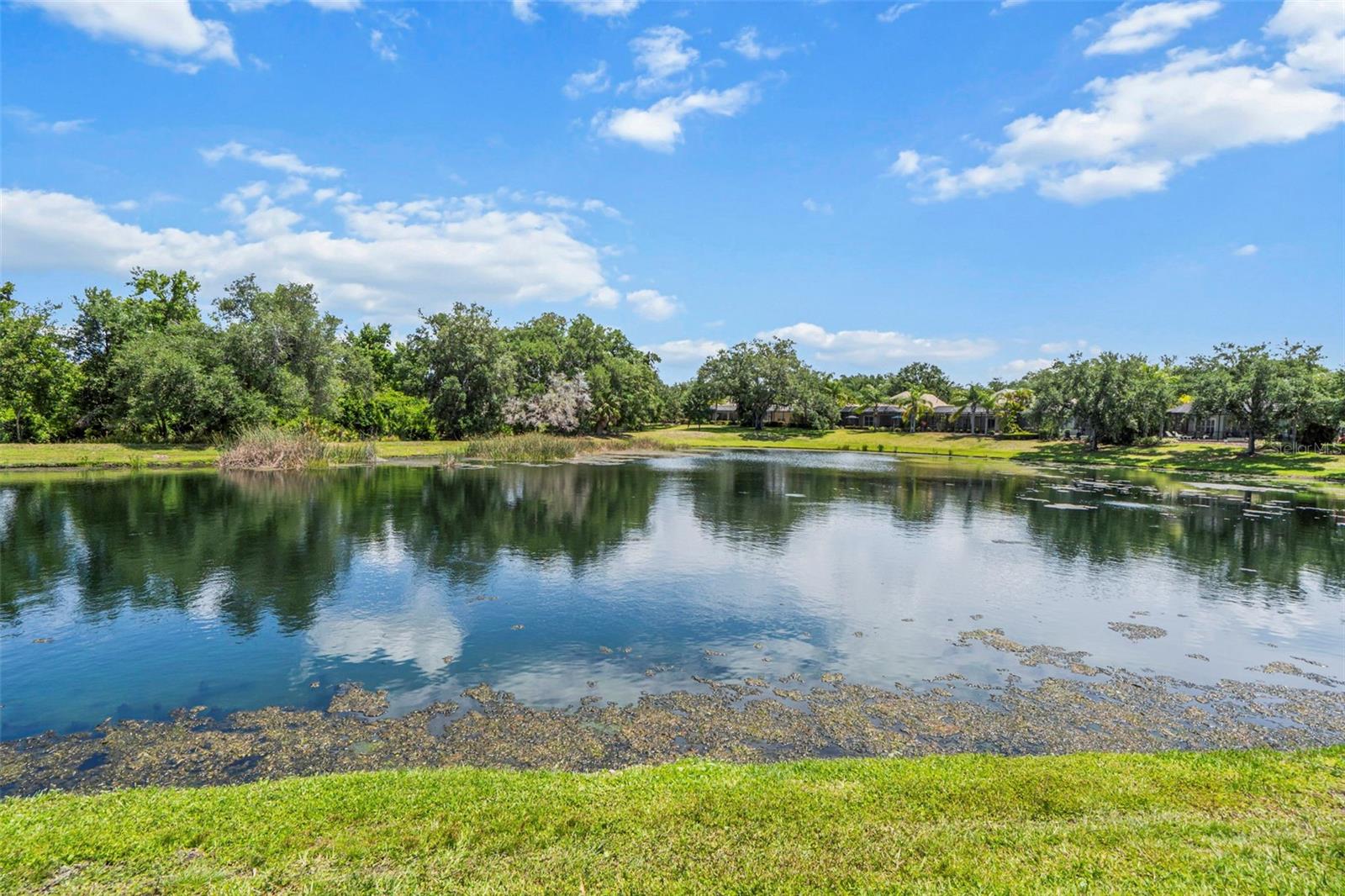 LAKEWOOD RANCH COUNTRY CLUB VILLAGE EE 3A-3C - Residential