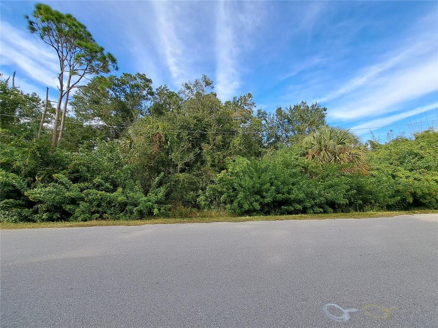 27412 & 27418 S Twin Lakes Dr. Two Buildable lots in the up and coming, yet still quiet neighborhood of Tropical Gulf Acres, Punta Gorda. If you are looking for a homesite with a country feel and a little elbow room, look no further than S Twin Lakes Dr. You will find super quick access to US 41 and Interstate 75 North and South. Get into this hidden gem of a neighborhood before it's discovered. There are plenty of custom builders who are ready to make your
SW Florida dreams a reality. The lots are right around the block from the lakefront park, William Bissett park with tennis courts, playground equipment, Pavilion, and new skate park. IDs are 422303430021 & 422303430022