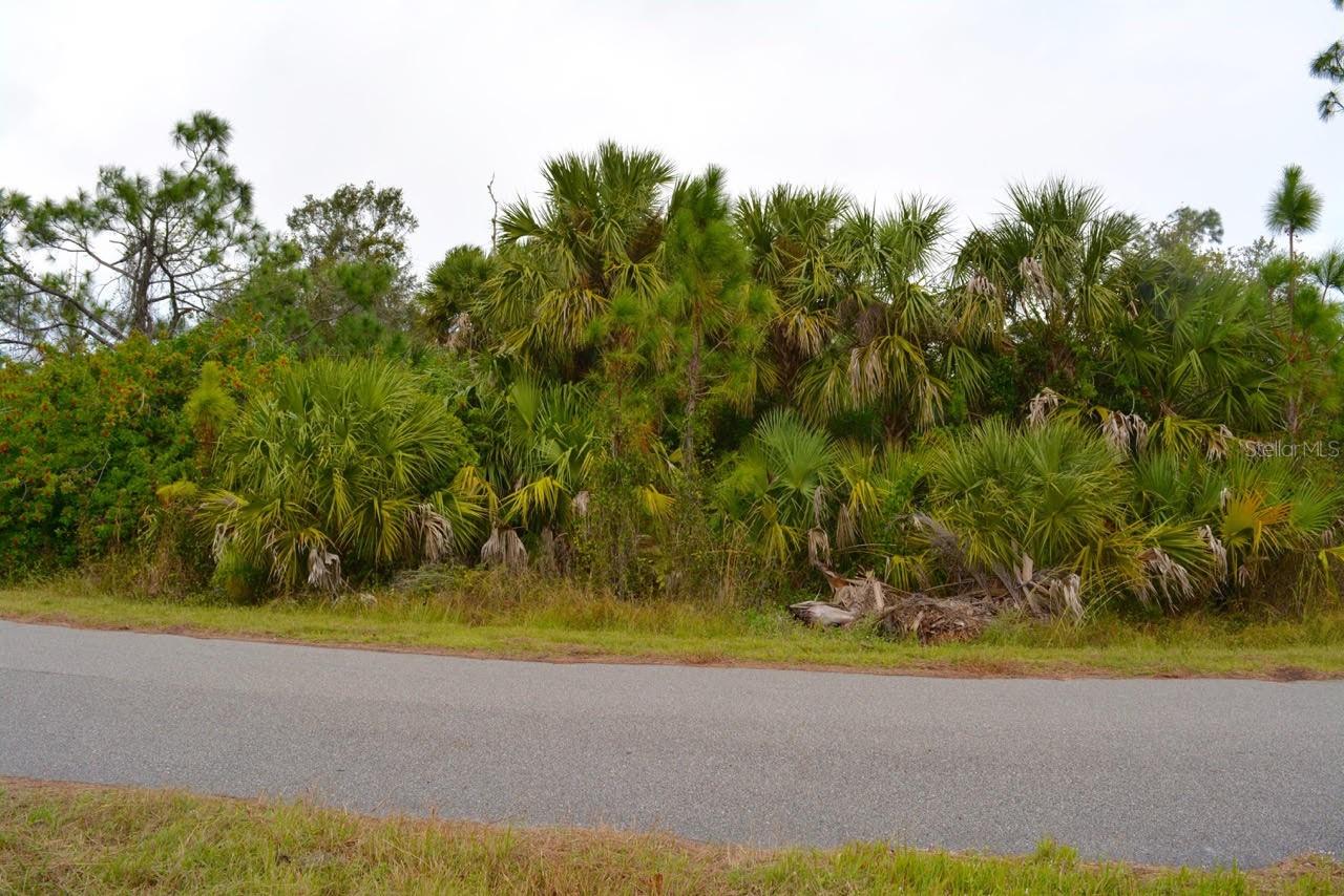 Build your dream home in North Port, one of Florida's fastest-growing cities! No CDD and HOA fees! Conveniently located to shopping, restaurants, many golf courses, the new Braves Spring Training Stadium, and many beaches that are located less than an hour away. Nearby homes have a septic tank and well, as well as, water is available. INFORMATION IS DEEMED RELIABLE BUT NOT GUARANTEED…TO BE VERIFIED BY THE BUYER AND/OR BUYER'S AGENT INCLUDING UTILITIES.