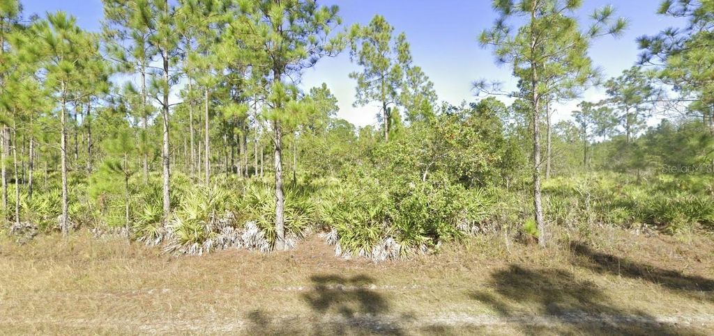 Photo of 820 Portulaca Drive, Indian Lake Estates, FL 33855 (MLS # T3547356)