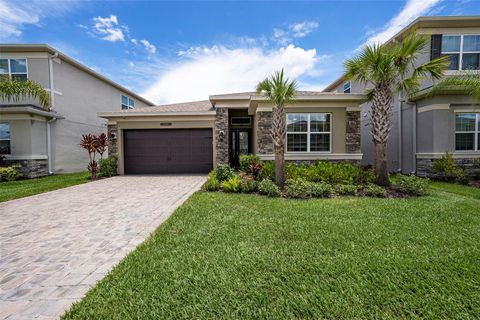 3318 WOODLAND BROOK WAY WESLEY CHAPEL FL 33543