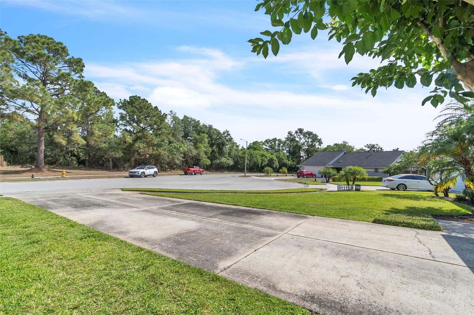227 MORNING GLORY DRIVE