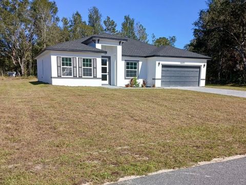Photo of 16685 SW 20th Court Road, Ocala, FL 34473 (MLS # O6362302)