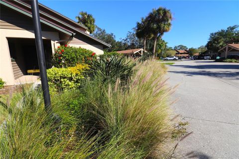 A home in SARASOTA