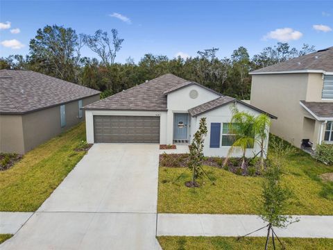 A home in WIMAUMA