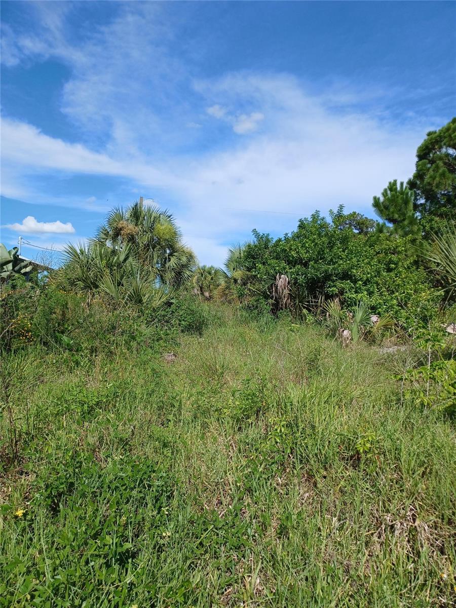 PORT CHARLOTTE SEC 060 - Land
