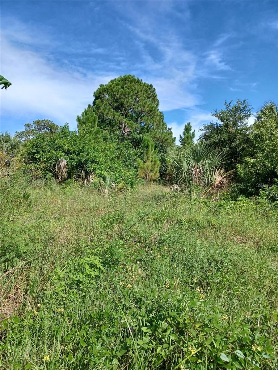 PORT CHARLOTTE SEC 060 - Land