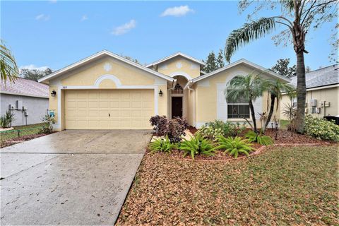 A home in VALRICO