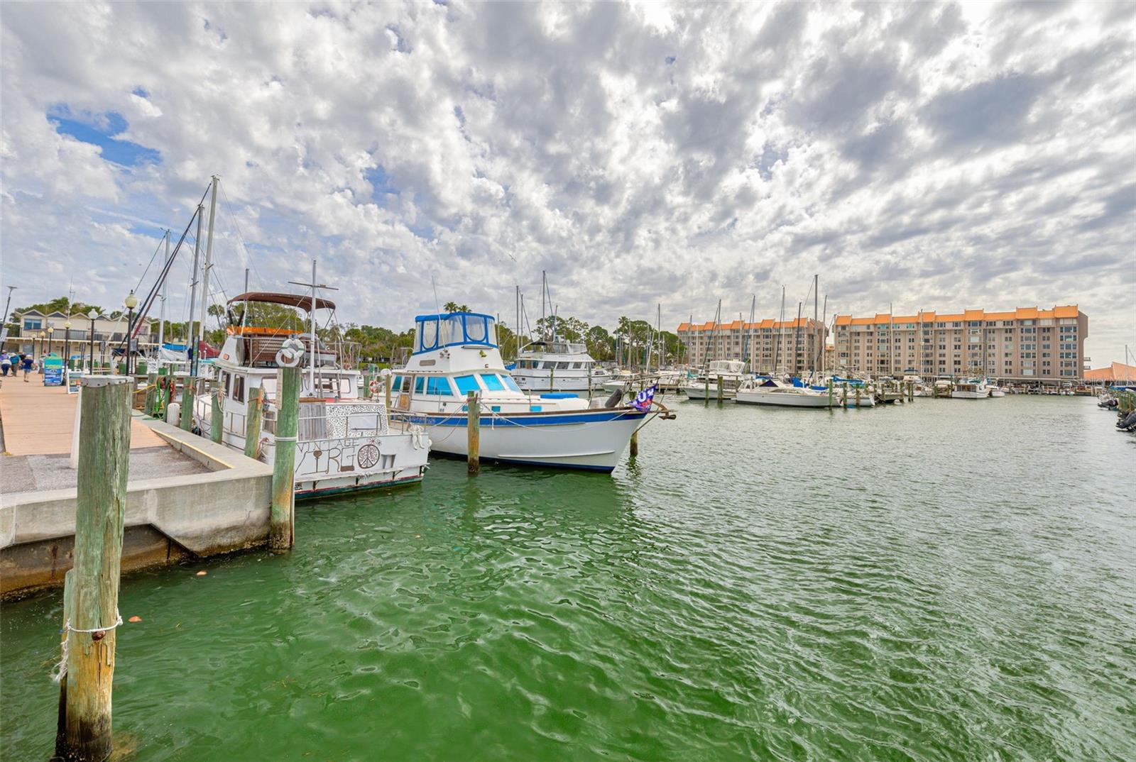 BELLE TERRE - Residential