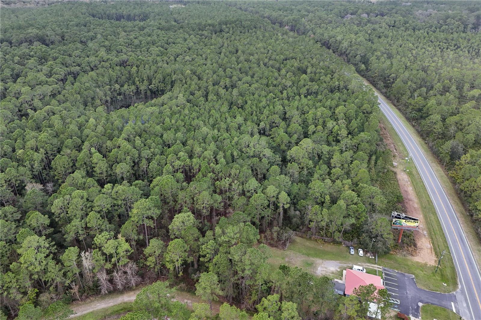 KAYS FOREST LANDS - Land