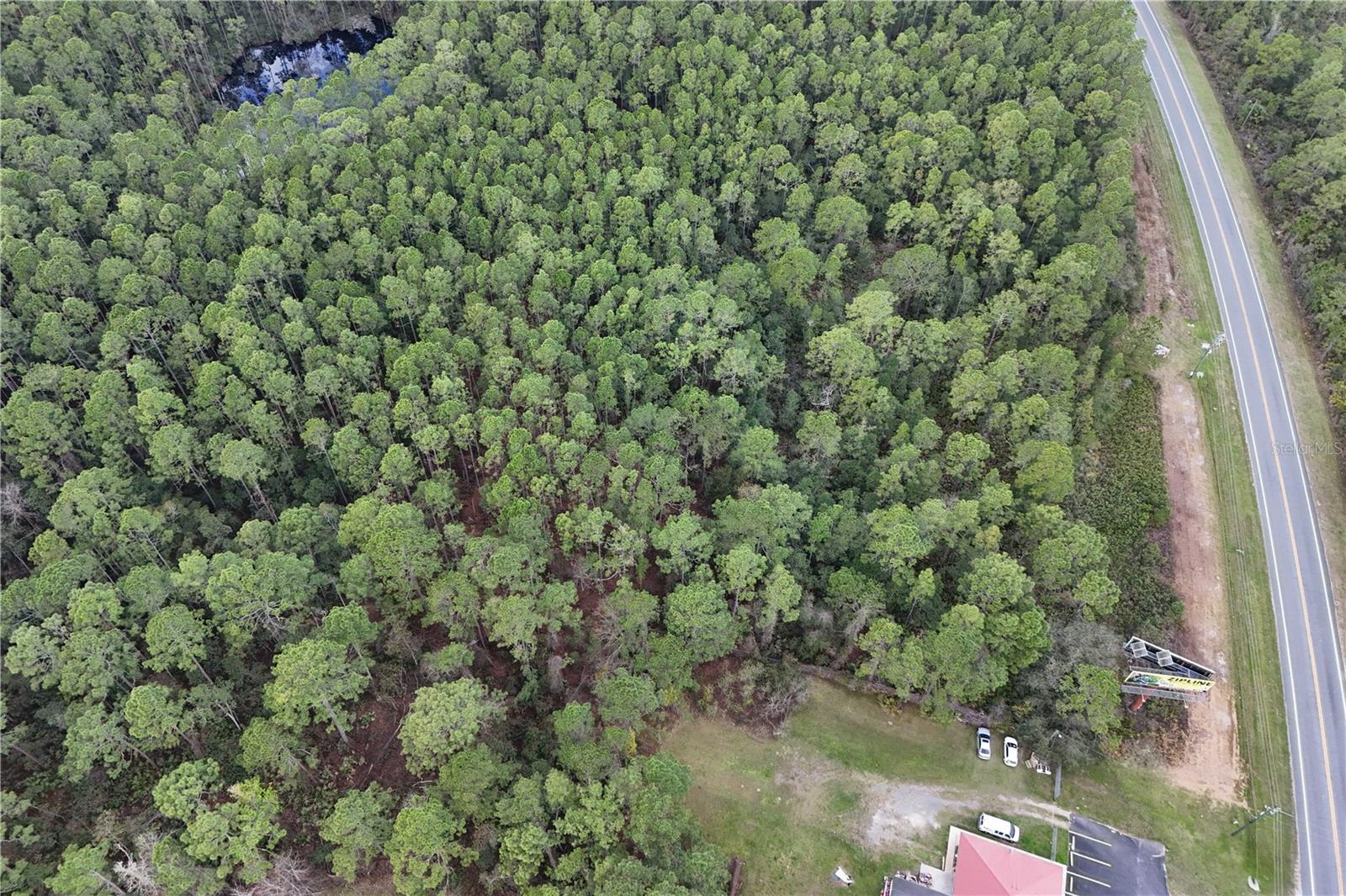 KAYS FOREST LANDS - Land