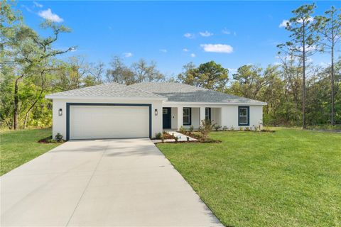 Photo of 12116 Petrel Avenue, Weeki Wachee, FL 34614 (MLS # W7884860)