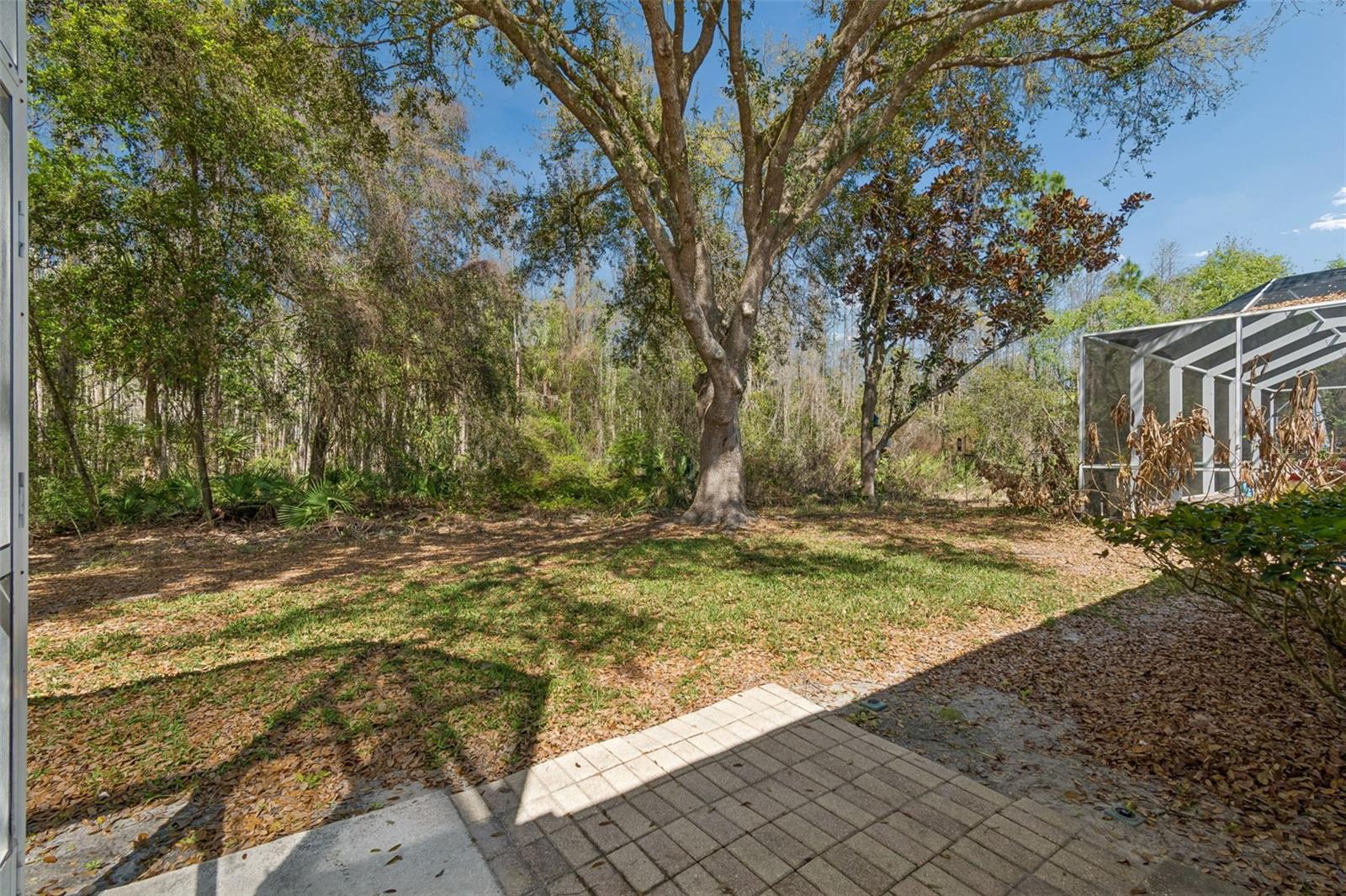 ARBOR GREENE PH 7 UNIT 1 - Residential