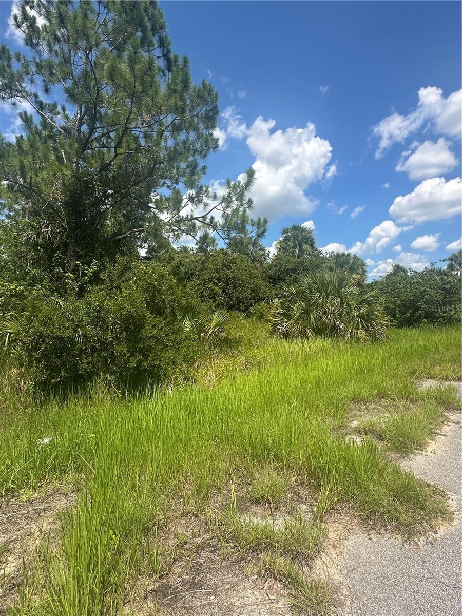 PORT CHARLOTTE SUB 45 - Land