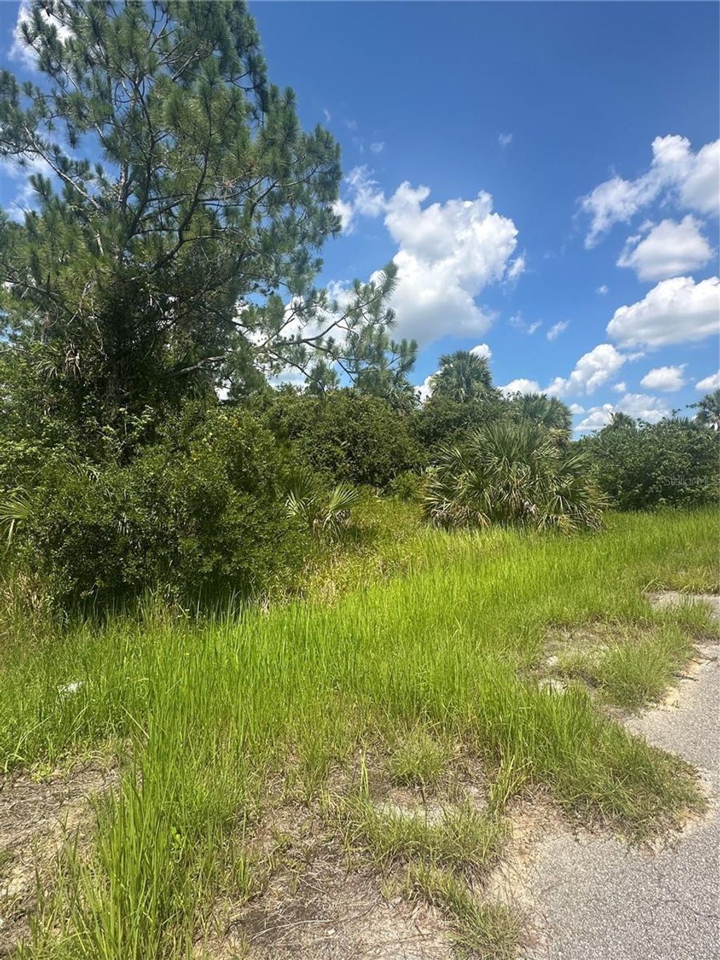 Photo of Hampshire Circle, North Port, FL 34288 (MLS # N6139432)