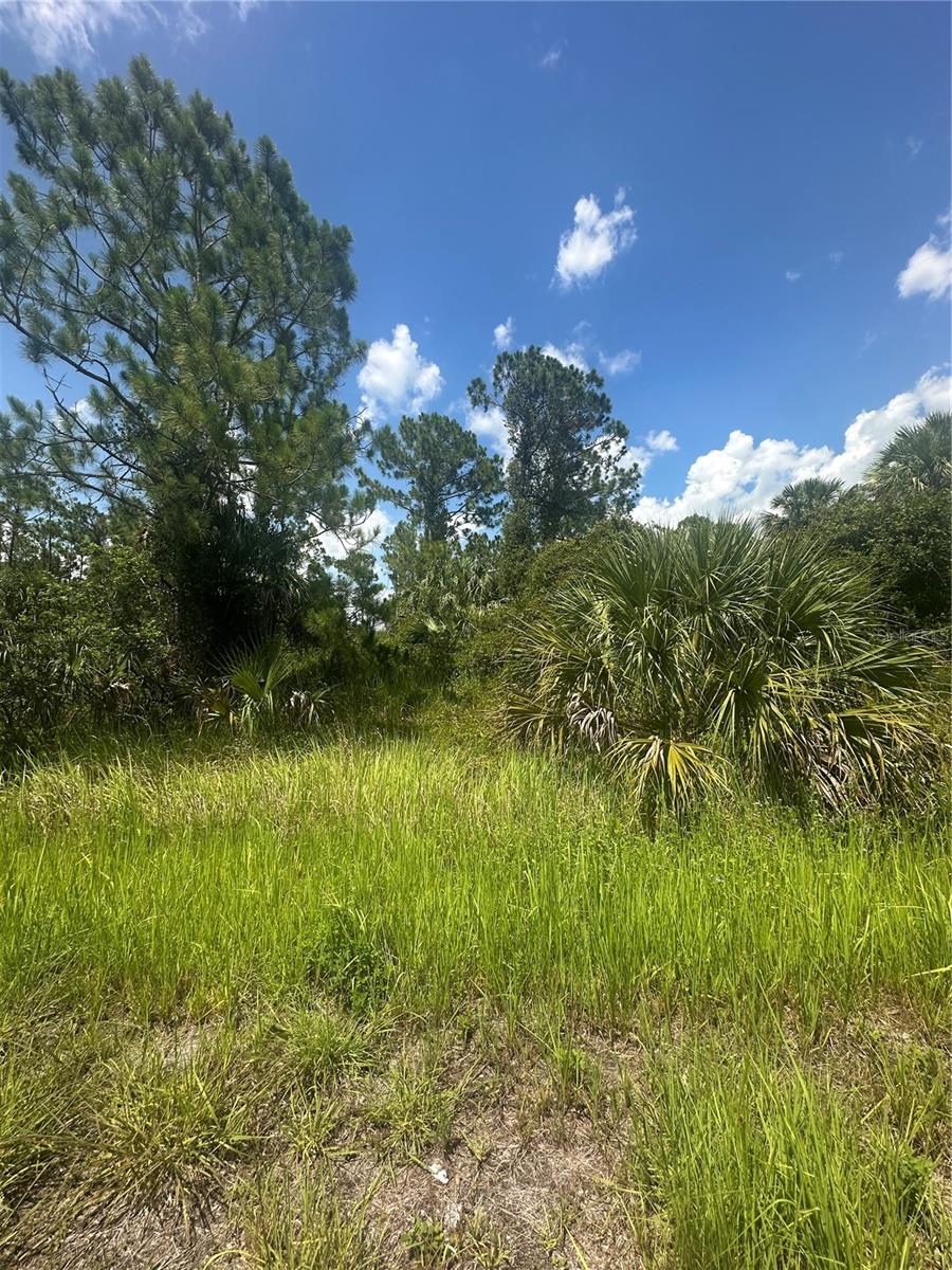 PORT CHARLOTTE SUB 45 - Land