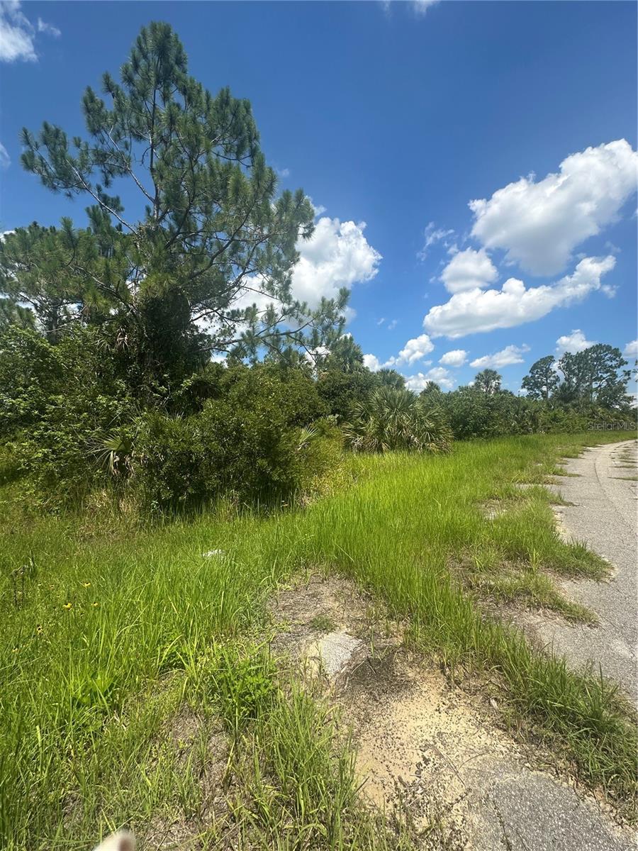 PORT CHARLOTTE SUB 45 - Land