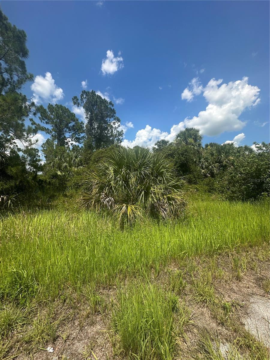 PORT CHARLOTTE SUB 45 - Land