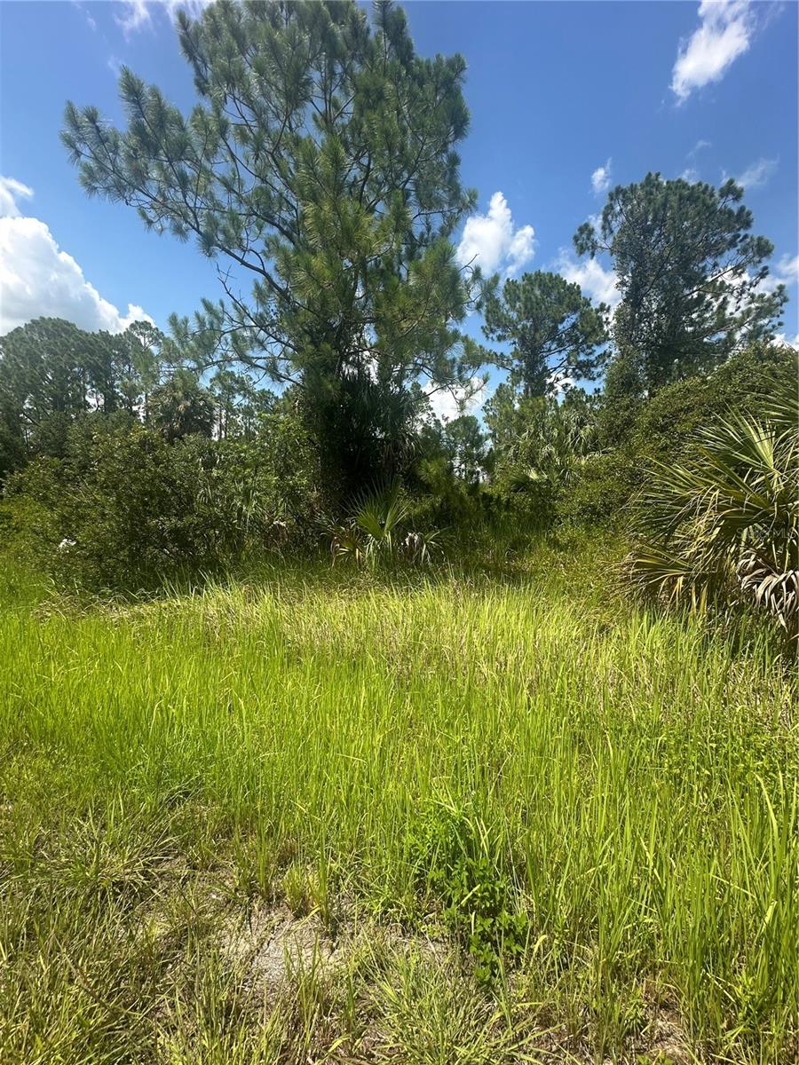 PORT CHARLOTTE SUB 45 - Land