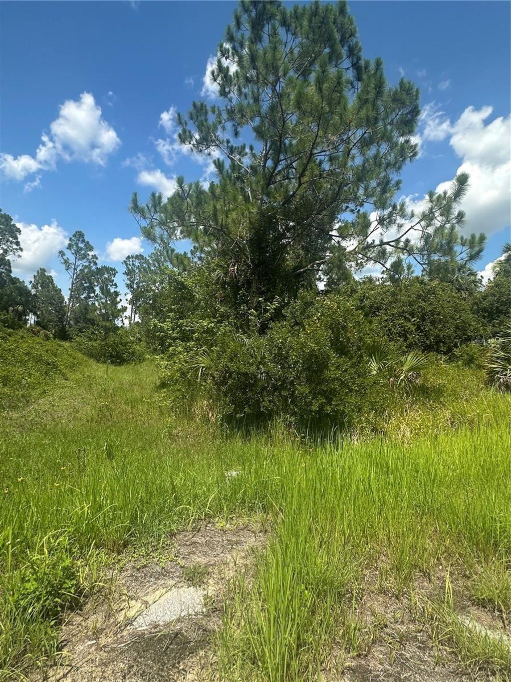 Photo of Hampshire Circle, North Port, FL 34288 (MLS # N6139432)