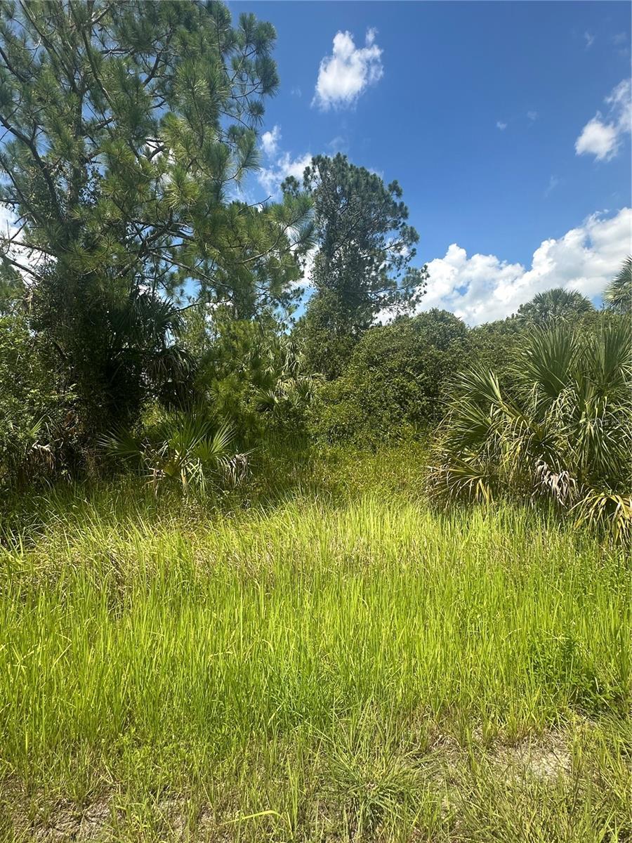 Exceptional Opportunity in North Port Build Your Dream in a Booming Florida Hotspot! Seize the chance to own a prime residential lot in the rapidly growing and highly sought-after city of North Port, Florida-one of Southwest Florida's most exciting and dynamic communities. This peacefully located parcel offers no HOA fees, no deed restrictions, and no CDDs, giving you the freedom to design and build exactly what you envision. Plus, as of May 2025, this lot is not listed on the North Port Scrub Jay map (buyer to verify during due diligence). Just minutes from I-75, this ideal location ensures easy commuting while keeping you close to everything-shopping, dining, top-rated schools, parks, golf courses, and world-class fishing. With new construction all around, it's clear that North Port is on the rise, making this the perfect time to invest in your future. Love the beaches? You're in luck-stunning Gulf Coast beaches are just a quick 25-minute drive away, where you can unwind with the sand between your toes and breathtaking sunsets at your fingertips. Sports fans will appreciate being near MLB Spring Training stadiums to catch the games. Whether you're planning to build your forever home or looking for a savvy investment, this property offers unlimited potential in a thriving area. Need help getting started? Local builder referrals are available upon request. Don't miss out on this incredible opportunity in one of Southwest Florida's most exciting and up-and-coming cities!