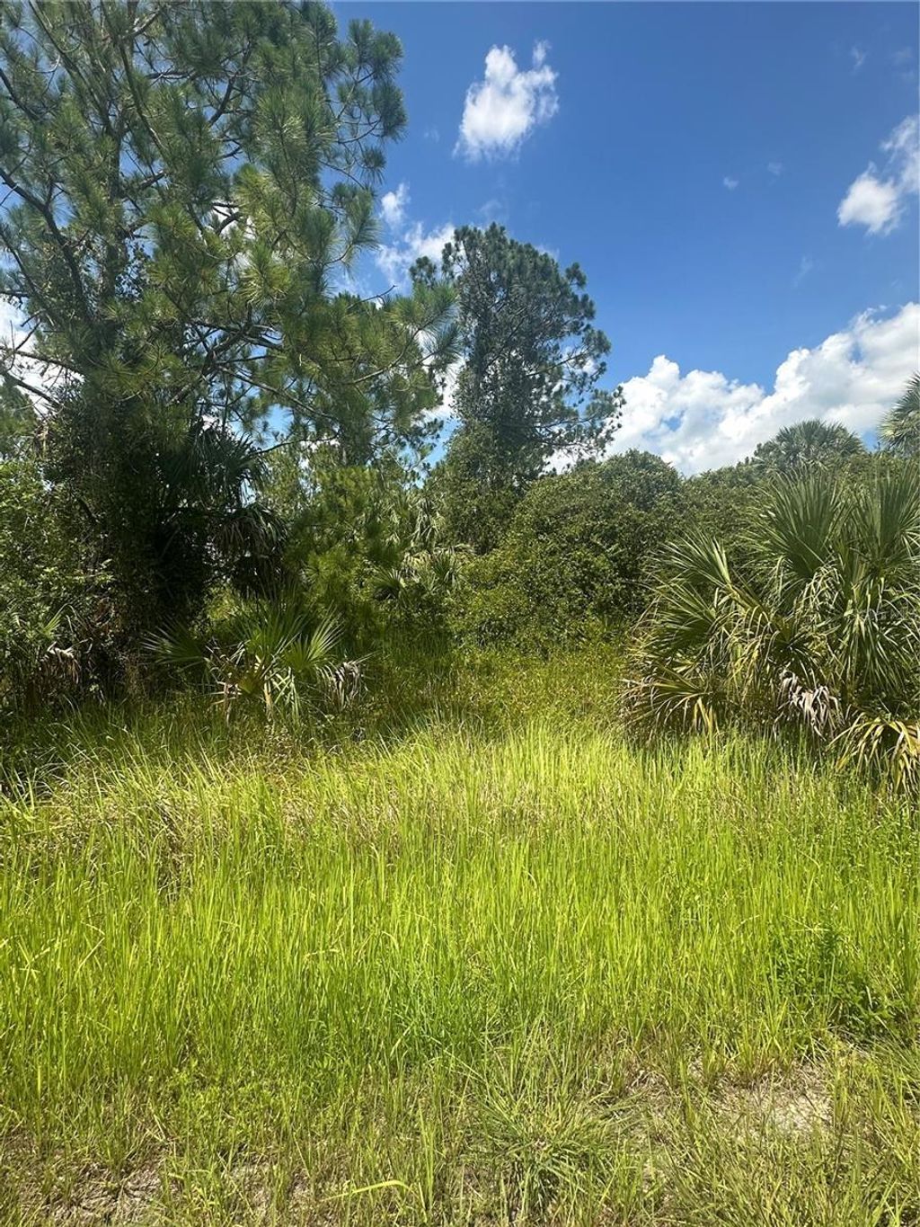 Photo of Hampshire Circle, North Port, FL 34288 (MLS # N6139432)